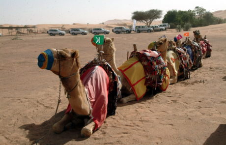 small-picture-3-1 small-picture-3-1