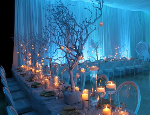 Transforming Spaces: Inspiring Party Decoration Themes